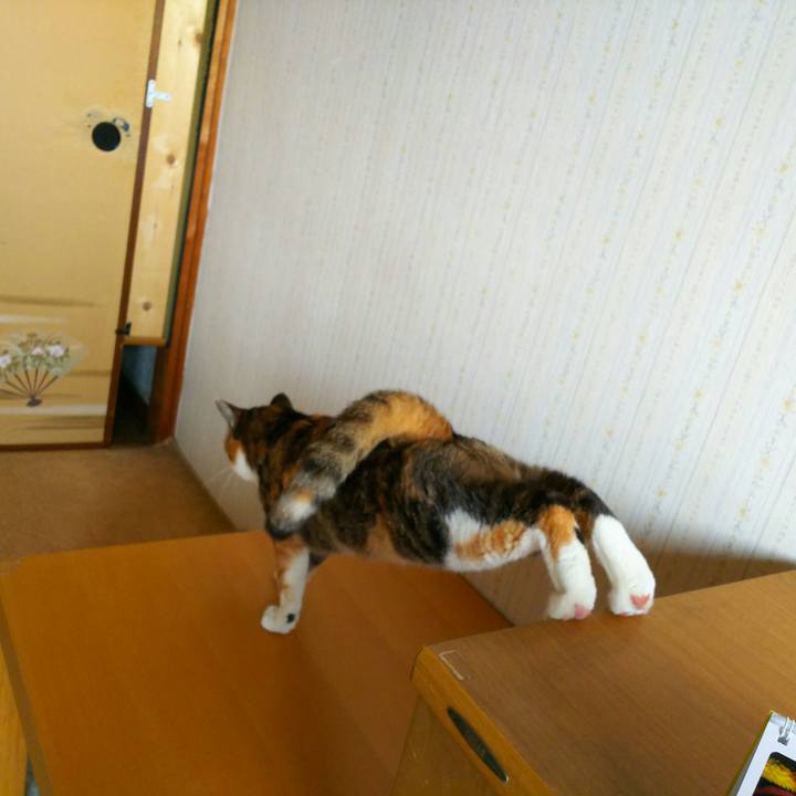 3e71314c 67f9 48b7 9768 7ad5e5f1051a