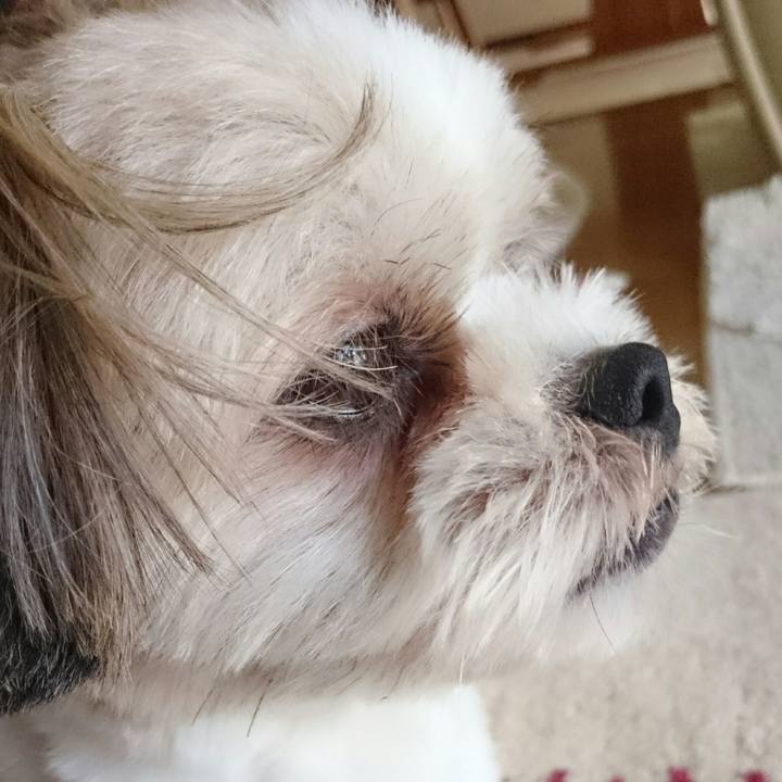 3e717504 0dc0 4778 a4c5 0204227f13eb