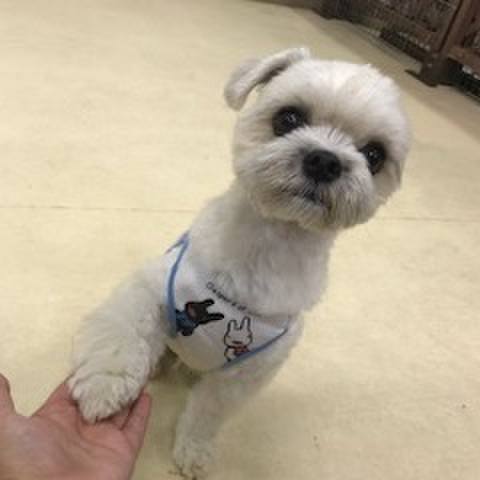 3e71ebb0 7aaa 4c2d a07d 61cd7f4a1e48