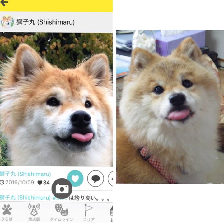 3e724fbd e6dd 45dd 82cc 8b4fbc2a1bb2