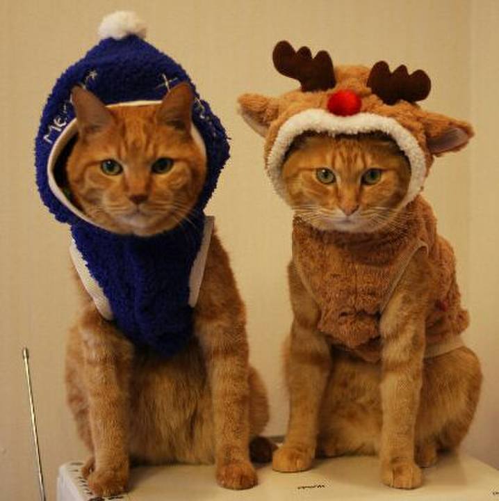 3e726564 75fd 4dbb a55d 01ab869e6520