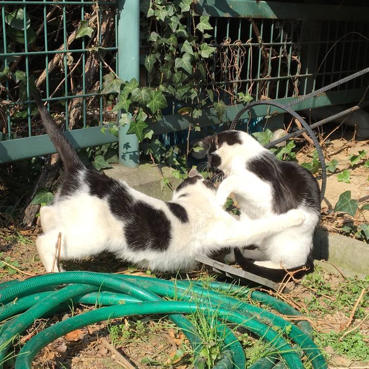 3e727d22 17e7 4f9d a3a8 6cb9e3938dbb