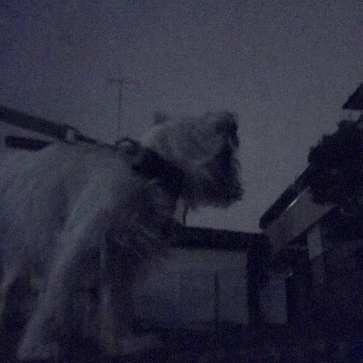 3e73288c a877 4110 a462 930cc7ae7394