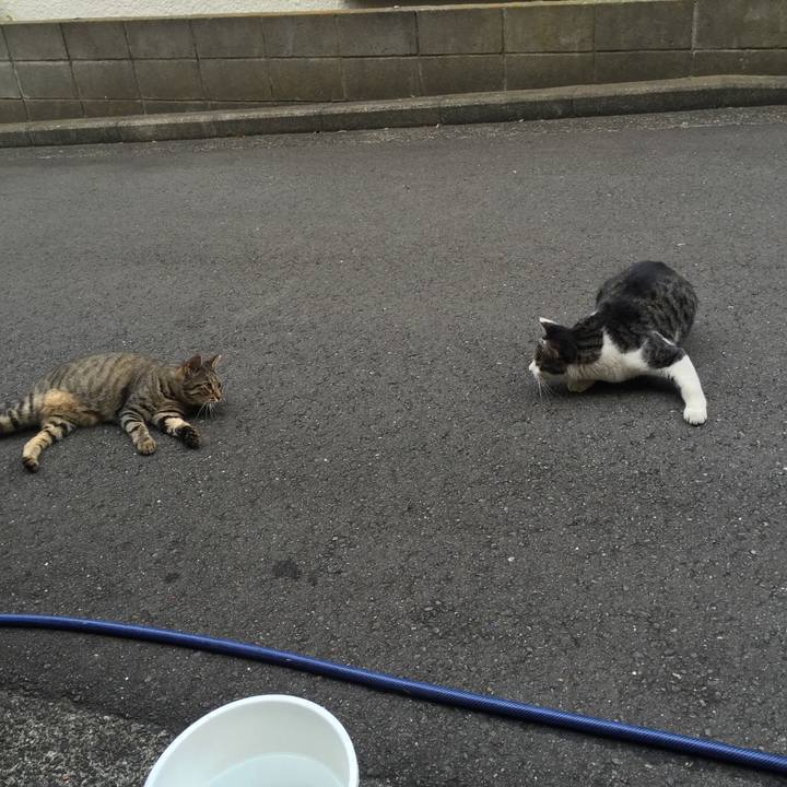 3e737757 faf2 4fad a719 13f333bde14c