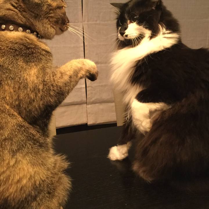 3e73a1e9 3194 48aa 982e 433c28d3c460