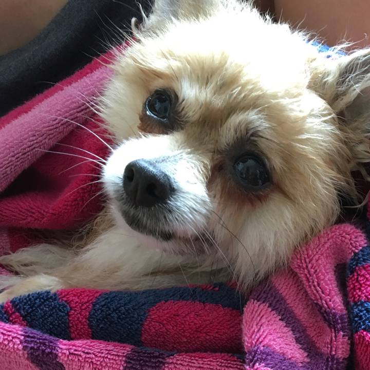 3e73d657 98d9 4b78 a60d ff0a187f24b7