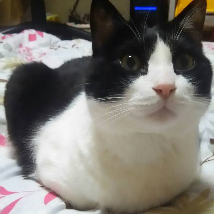 3e73f640 26ce 425c a7e7 8c475b1053be