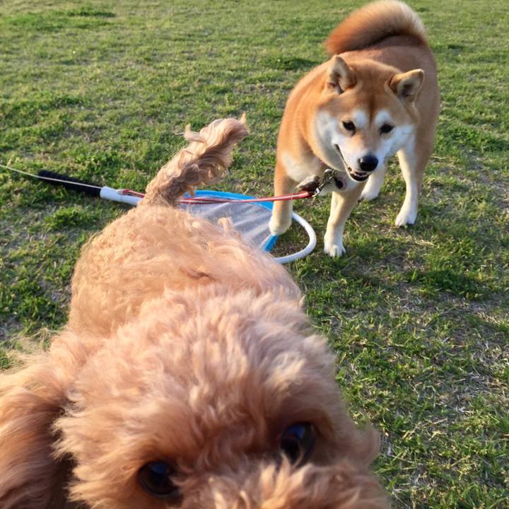 3e743128 7b84 4fde 968c 319b309b7d8c