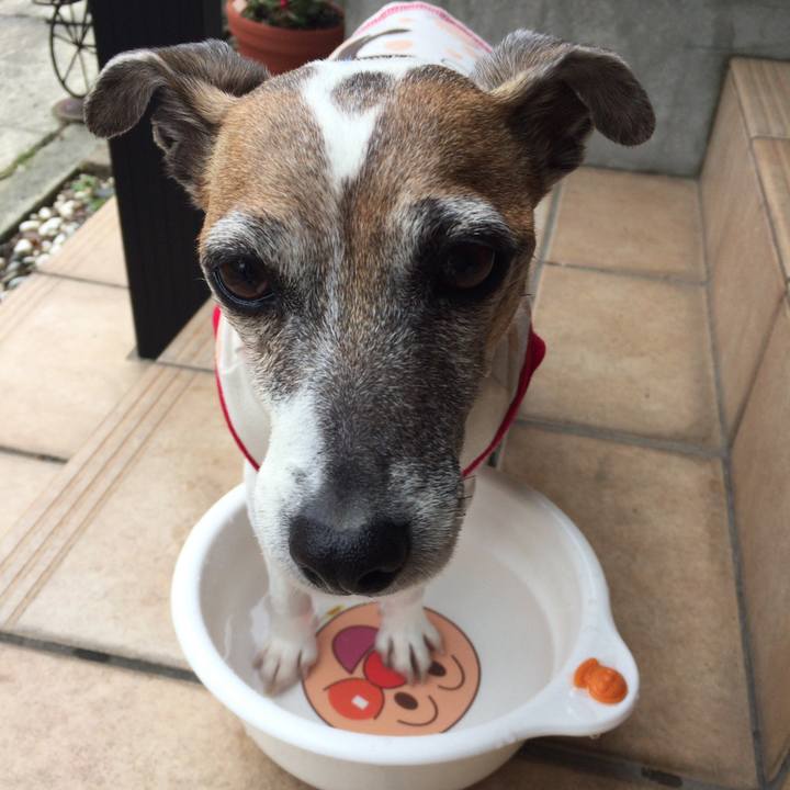 3e74868d ba1a 4cd6 a755 9af0cf9d3076