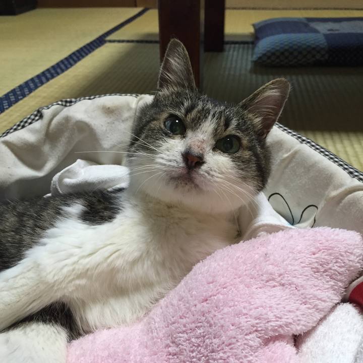 3e74939a aee1 4fcd 9ec5 f82b0e2b227a