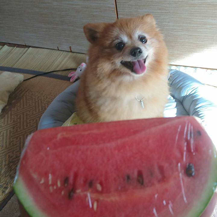 3e74ca09 6214 4d9e 8e98 cd93d263714f