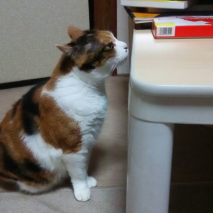 3e750f1a 7263 4ae5 83f3 e9b80bbd5819