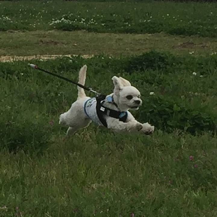 3e756132 4cd1 4cdc 8017 93ad6eac35c2