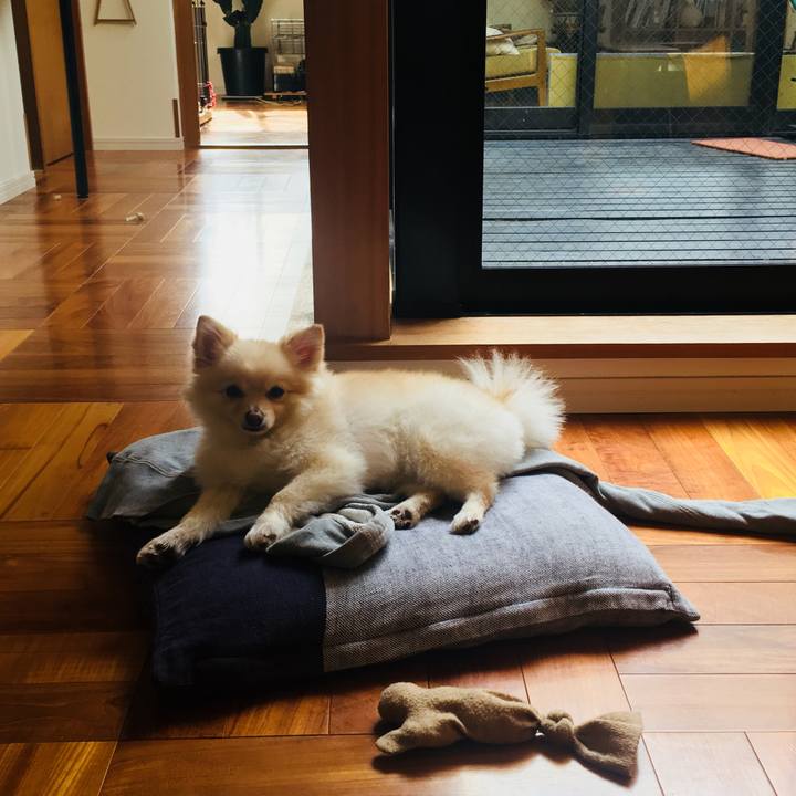 3e7607ae 0fc4 46de b42d 17c2c4ca97c8