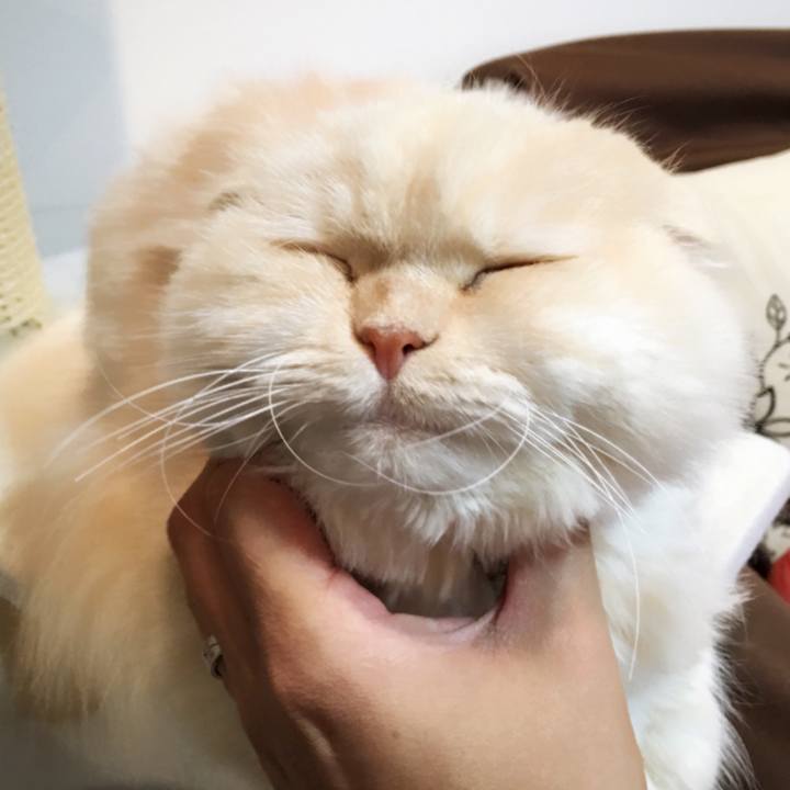 3e764fb7 855b 4dba 8950 996fa53a7ab8