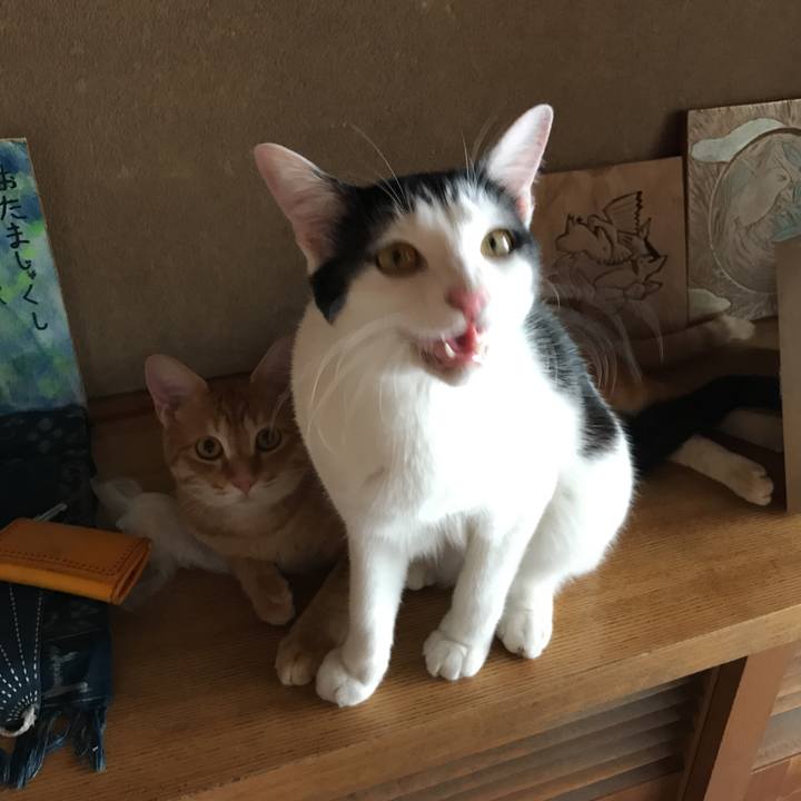 3e766eac 3e3e 4c3d 9a49 58583369a3d0