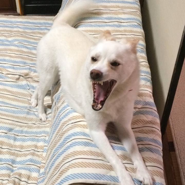 3e76a166 9b6c 426b bcf8 c222b966a977