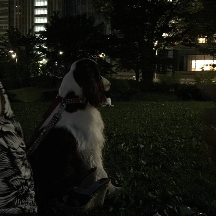 3e76c76f f8bd 4fb5 a750 6face8f03786