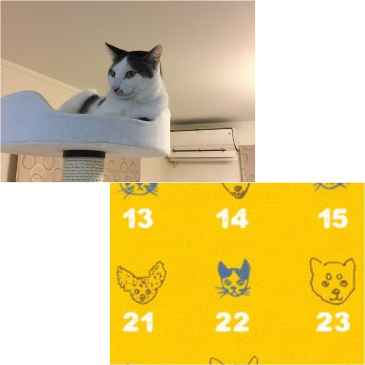 3e789208 c27f 4d99 90f4 da7cd7654e2c