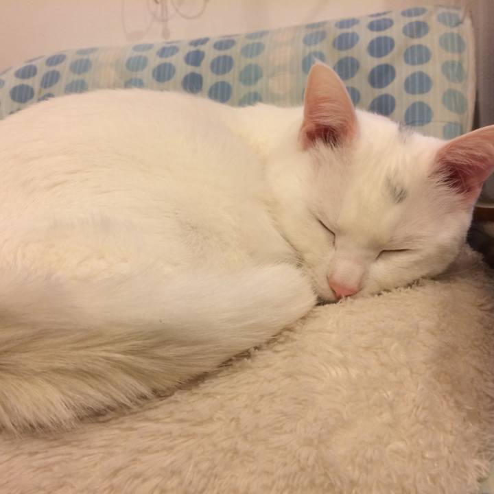 3e78a7cd f76b 4fd3 8389 6ae484b5b8fd