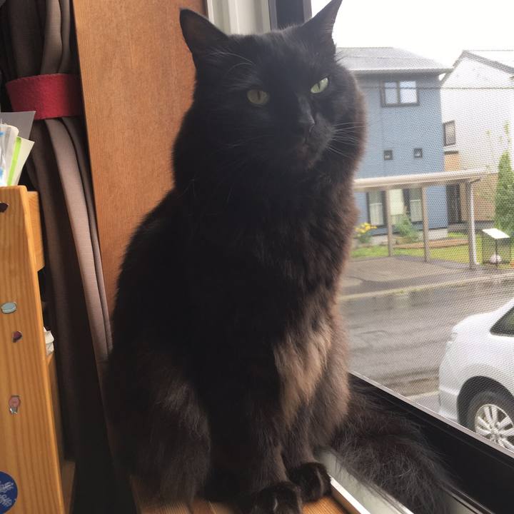 3e78aae8 cb11 40c2 b701 c17fd3ed0e9a