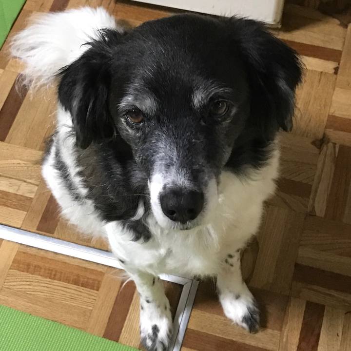 3e78ce52 975f 4df9 8d26 be03e1dee3ea