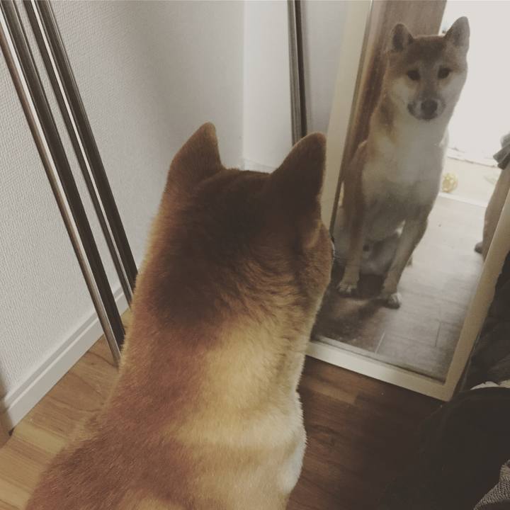 3e7a06d0 e096 4801 a44c a318f7445c13