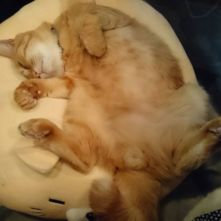 3e7a6ddb 4d76 4901 81f4 006946671f5f