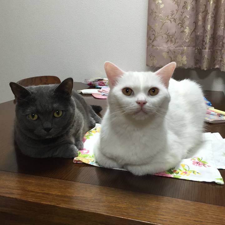 3e7a858c a4f0 4890 93f1 b5973e29bd76