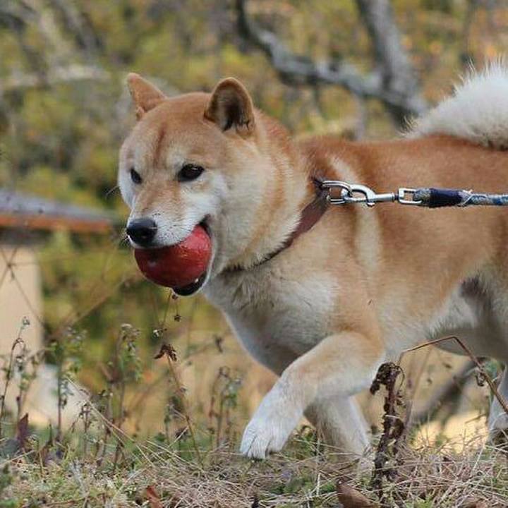 3e7b086d 465e 4c27 b162 558418c4e0cd