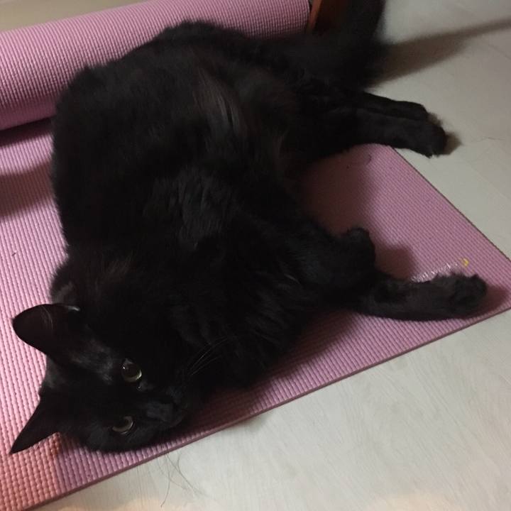 3e7b6519 8c36 403d 9456 0234e1417233