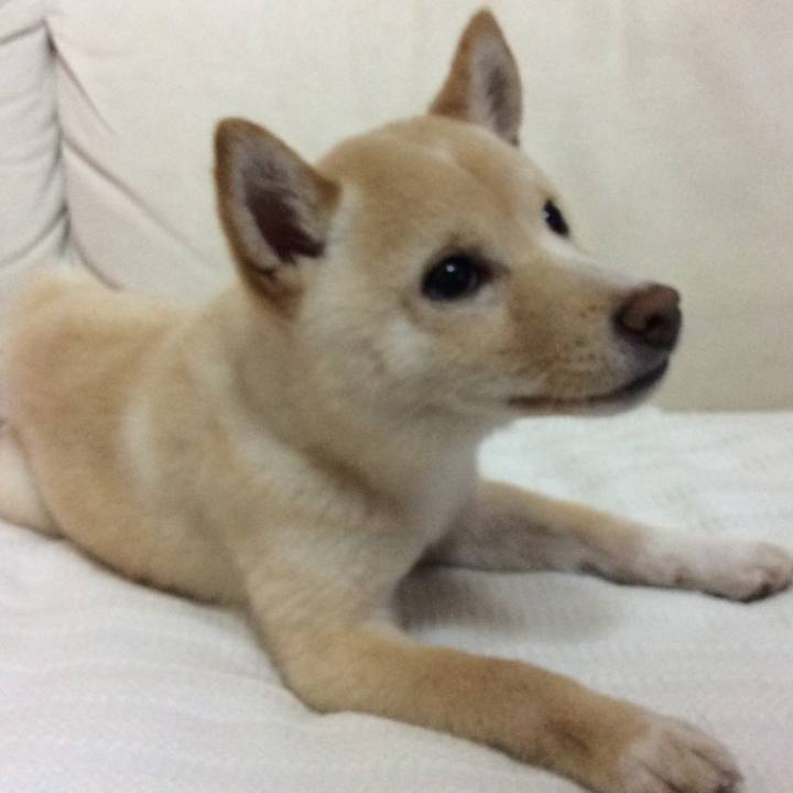 3e7b988c d95c 4cd2 8660 9cb0a03cf405