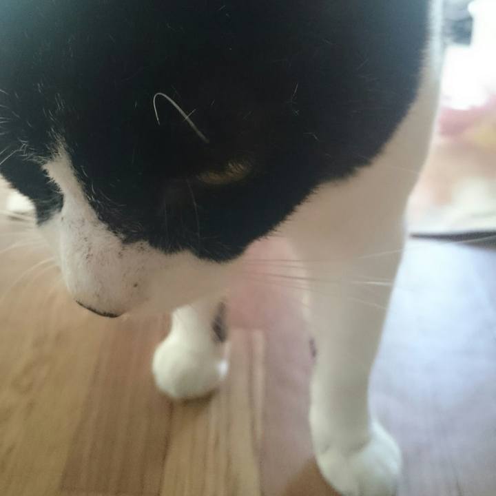 3e7b9e3e f837 44d4 8a7c fbee14fd95a3