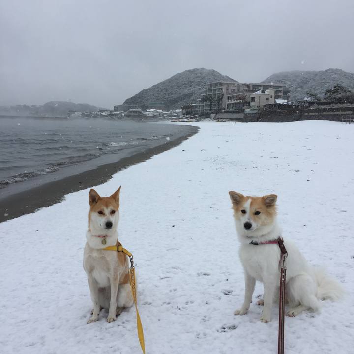 3e7cce43 584c 4325 9457 84431f21e5c2