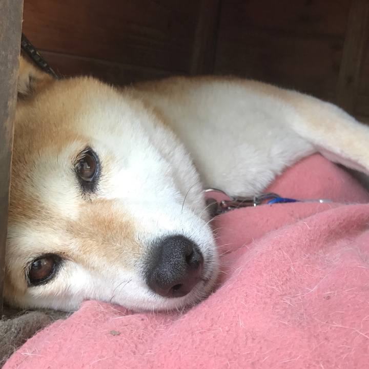 3e7d2d04 94e9 40aa b5a9 5348bdcfc29a