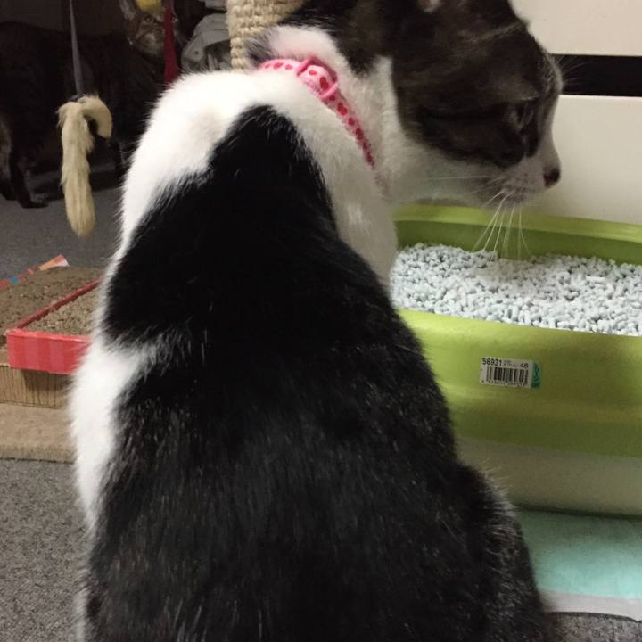 3e7e0c80 72ad 465f 899c 9790e32ed3bd