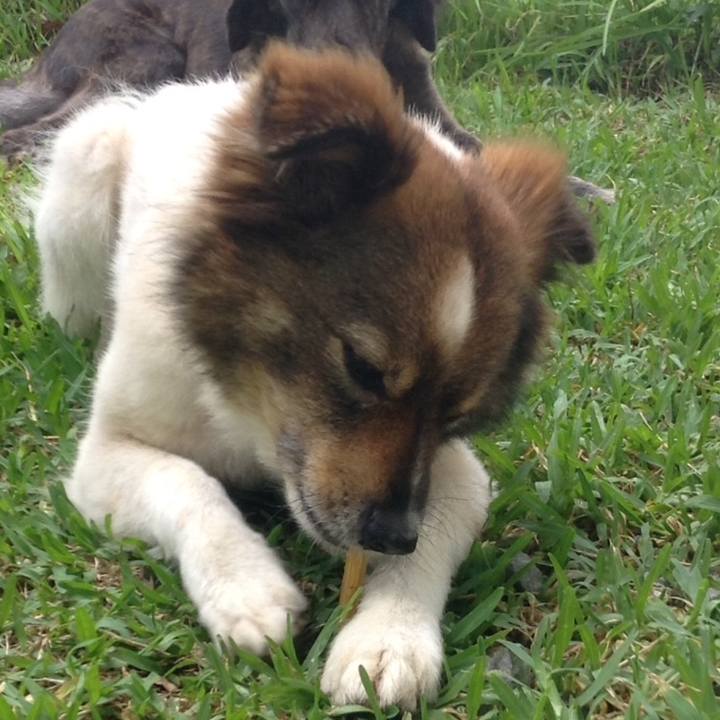 3e7e32eb e29c 4b74 9c8f 450a710fb35d