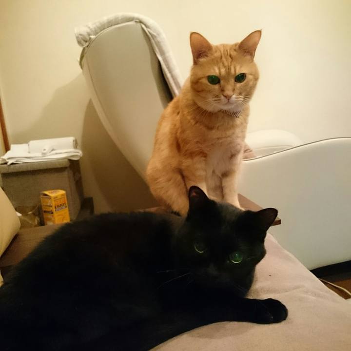 3e7f2806 a8c0 4092 b54d c64356da76af