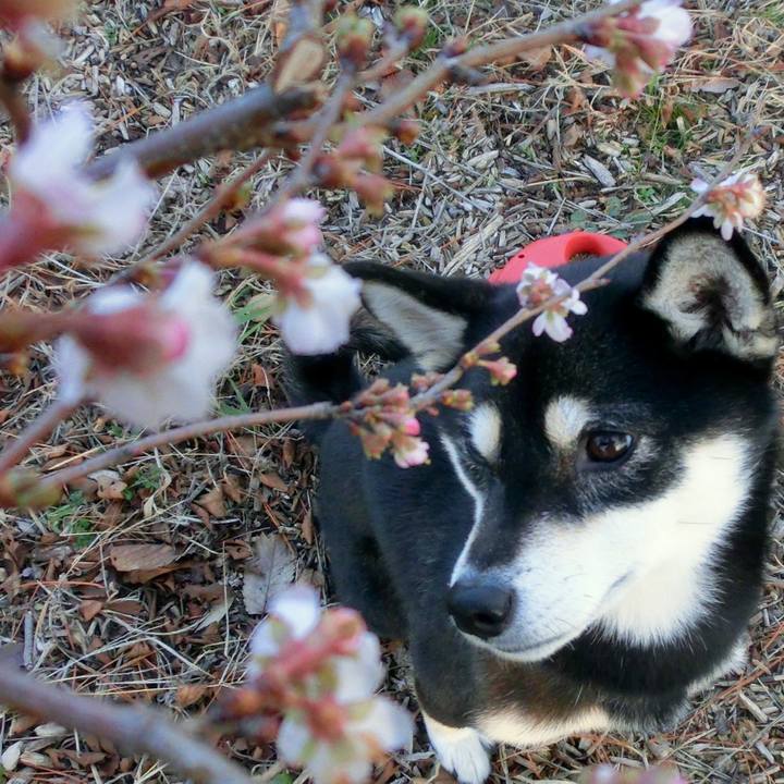 3e7f6bfa 9ee6 431b 813b 6777055cf430