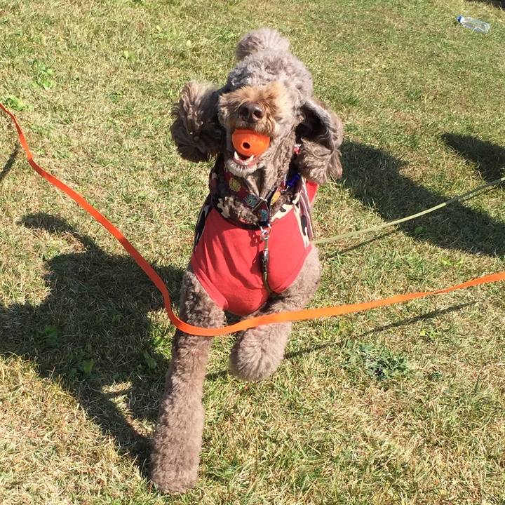 3e7f7e28 3f09 4f25 a2ea 48debea1d86b