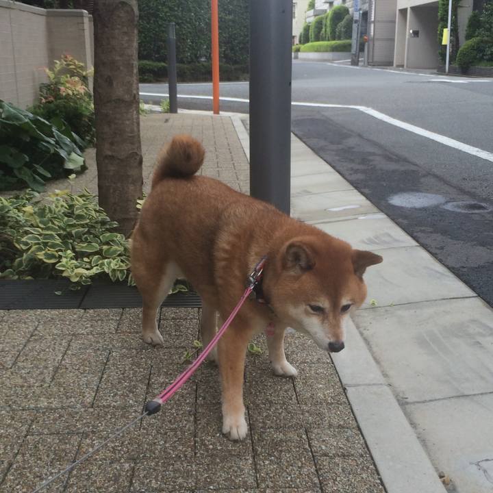 3e7ff906 d6a5 4da4 b047 9db8cfe08690