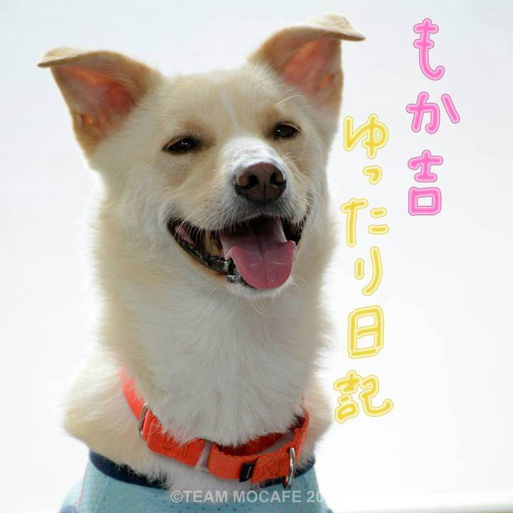 3e80431a 22b0 45e3 889a f626da3e9557