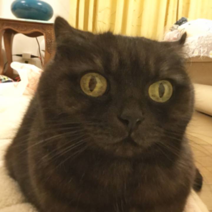 3e8052a5 ae9f 41e8 a9c3 e3390324d372