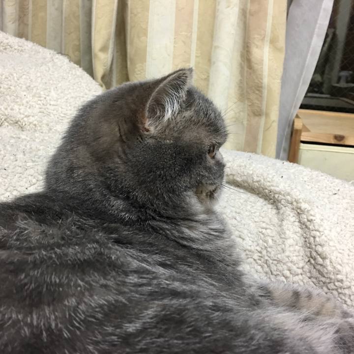 3e80e4d1 a765 4b5e 93c0 263342ea1fcb