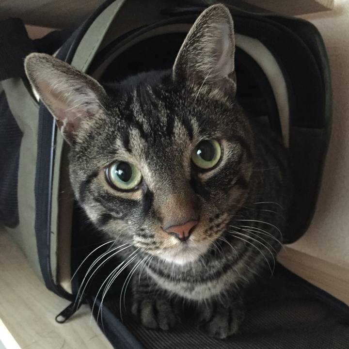 3e80f6d4 34a3 4246 b05b 812038056d48