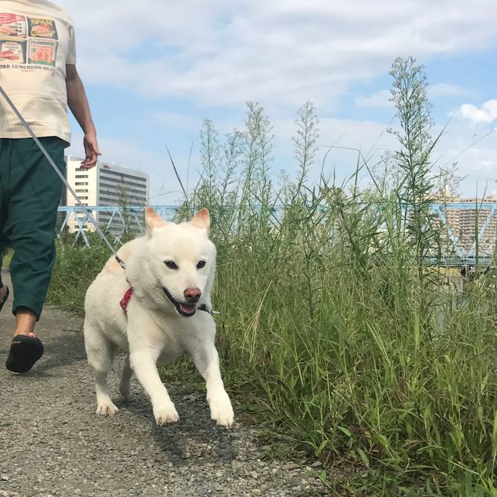 3e810d2a 8c16 4b77 ae77 2f79eb381496