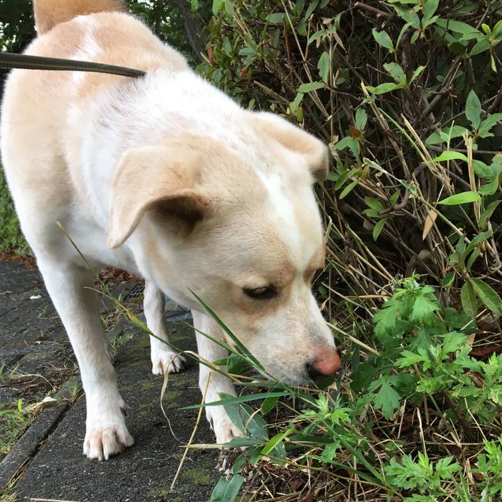 3e810f07 2d2c 4bd4 a01c eadc49d4de46