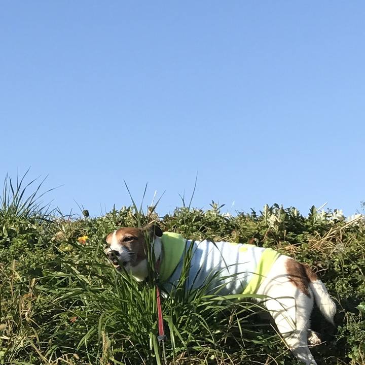 3e816faf 0100 45f4 abb1 f16943f22bf3