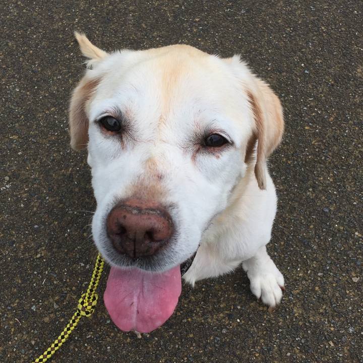 3e819c48 b198 4bb4 895e 782f0f8d5a12