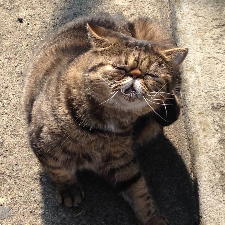 3e81e229 19f7 44be 9924 e1938c7833fd